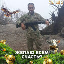 ���������� ������, ���� ������� ������, 44 ����, ������������ ��� ����� � ���������, c�������� ���������