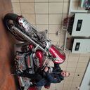 ���������� ��������, ���� ������� Viorel, 48 ���, ������������ ��� ������, ����� � ���������