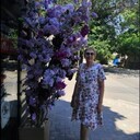 ���������� ����, ���� ������� �������, 61 ���, ������������ ��� ���������