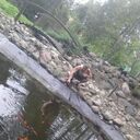  ,   Vasea, 37 ,   ,   