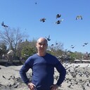  ,   , 54 ,   ,   