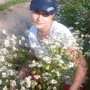 ���������� ����, ���� ������� �����, 38 ���, ������������ 