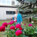  -,   , 48 ,   ,   