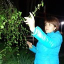  ,   , 43 ,     , c 