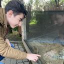 ���������� ������������, ���� ������� �����, 26 ���, ������������ ��� ������, ����� � ���������