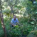  ,   Roma, 44 ,     , c 