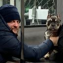 ���������� ��������, ���� ������� �������, 38 ���, ������������ ��� ������, ����� � ���������