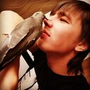 ���������� ��������, ���� ������� ���������, 31 ���, ������������ ��� ������, ����� � ���������, c�������� ���������, ���������