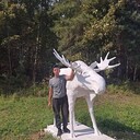  ,   , 55 ,   c 