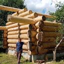 ���������� �������, ���� ������� Nic, 47 ���, ������������ ��� ������, ����� � ���������, c�������� ���������