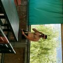 ���������� ������-��-����, ���� ������� �������, 26 ���, ������������ ��� ������, ����� � ���������, c�������� ���������, ���������