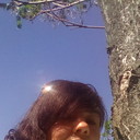  ,   , 53 ,     , c 