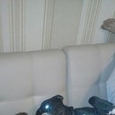 ���������� ������, ���� ������� ������, 34 ����, ������������ ��� ������, ����� � ���������, c�������� ���������, ���������