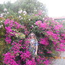 ���������� ������ ��������, ���� ������� �����, 45 ���, ������������ ��� ����� � ���������, c�������� ���������