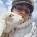 ���������� �����������, ���� ������� �����, 56 ���, ������������ ��� ������, c�������� ���������, ���������