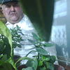  ,   Baxt, 57 ,   , 