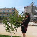  ,   , 55 ,  
