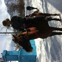 ���������� �������, ���� ������� 998917775353, 37 ���, ������������ ��� ������