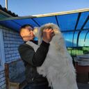 ���������� ������, ���� ������� �����, 37 ���, ������������ ��� c�������� ���������