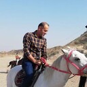 ���������� ������, ���� ������� �����, 40 ���, ������������ ��� ����� � ���������, c�������� ���������