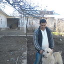  ,   Sardor, 37 ,     , c , 