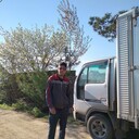 ���������� ���������, ���� ������� �������, 42 ����, ������������ ��� ������, ����� � ���������, c�������� ���������