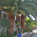 ���������� �������, ���� ������� ������, 62 ����, ������������ ��� ������, ����� � ���������, c�������� ���������