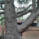  ,   , 44 ,   ,   , 