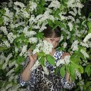 ���������� ������, ���� ������� ������, 39 ���, ������������ ��� ������, ����� � ���������