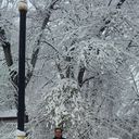  ,   Samir, 52 ,   ,   , c 