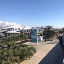 ���������� ��������, ���� ������� Alexander, 32 ����, ������������ ��� ������, ����� � ���������