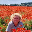  ,   , 52 ,   ,   