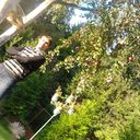  ,   Ropos, 37 ,   