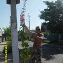 ���������� ����, ���� ������� ����, 42 ����, ������������ ��� ����� � ���������, c�������� ���������