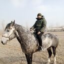 ���������� �����-���������, ���� ������� ���, 36 ���, ������������ ��� ������, ����� � ���������, c�������� ���������