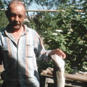  ,   , 65 ,   ,   , c 