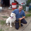 ���������� ������, ���� ������� ������, 40 ���, ������������ ��� ������, ����� � ���������, c�������� ���������