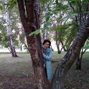  ,   , 63 ,   c 