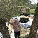  ,   , 37 ,   ,   , 