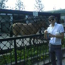 ���������� �����-���������, ���� ������� Idris, 37 ���, ������������ ��� ������, ����� � ���������, c�������� ���������