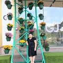  ,   , 65 ,   ,   , c 