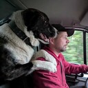 ���������� �����-���������, ���� ������� ����, 27 ���, ������������ ��� ������, ����� � ���������