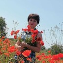  ,   , 53 ,   ,   