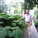  ,   , 61 ,     , c 