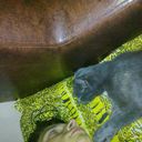 ���������� ������ ��������, ���� ������� ����, 29 ���, ������������ ��� ����� � ���������, c�������� ���������