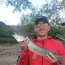 ���������� ������-��-����, ���� ������� ���������, 37 ���, ������������ ��� ������, ����� � ���������