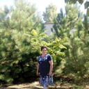   ,   , 55 ,     , 