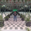  ,   , 36 ,   ,   