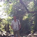 ���������� ������ ��������, ���� ������� ��������, 41 ���, ������������ ��� ������, ����� � ���������