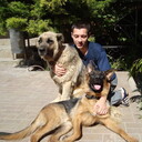 ���������� ������-��-����, ���� ������� �������, 31 ���, ������������ ��� ������, ����� � ���������, c�������� ���������